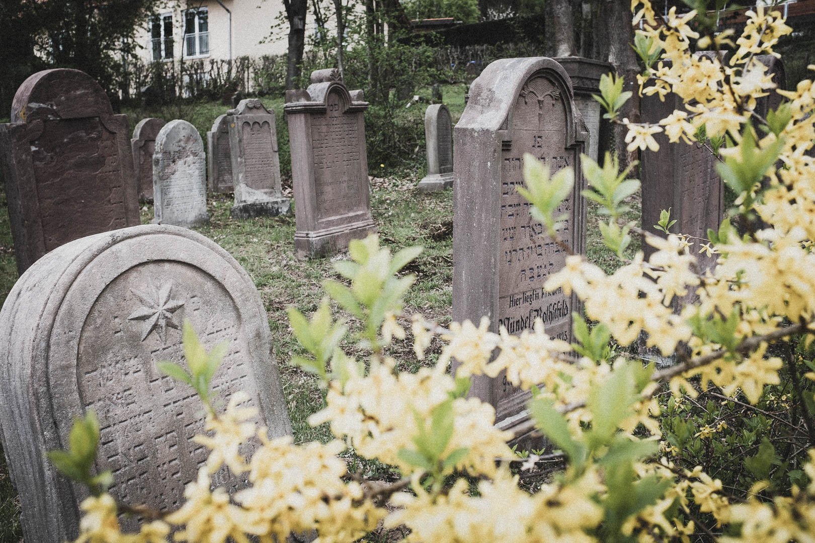 Bad Zwesten, Jüdischer Friedhof